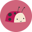 Ladybug Ball
