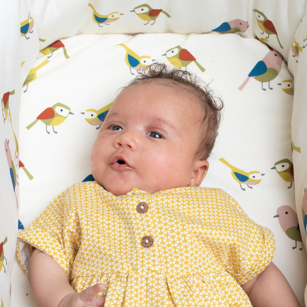 Giggle 2 in 1 Bundle Birdland - Bundle - Cosatto Ireland