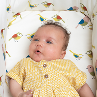 Giggle Trail 3 in 1 i-Size Birdland
