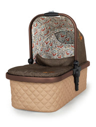 Wow 2 Special Edition Everything Bundle Foxford Hall