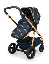 Wow Continental Everything Bundle On the Prowl (Acorn)