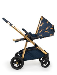 Wow Continental Everything Bundle On the Prowl (Acorn)