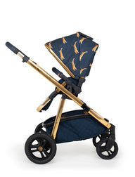 Wow Continental Everything Bundle On the Prowl