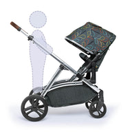 Wow XL Everything Bundle Nordik
