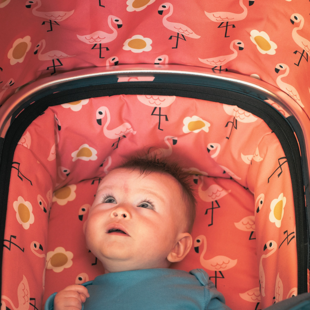 Giggle 2 in 1 i-Size Bundle Pretty Flamingo