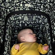 Wow 2 Pram and Pushchair Silhouette