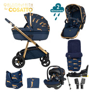 Wow Continental Everything Bundle On the Prowl (Acorn)